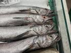 Fish from a grocery store in Spain, so crazy!