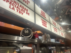 Inside Tacos del Valle—a retro-style taqueria with bar seating, where I enjoyed flavorful tacos cooked on the trompo