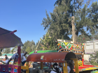 Colorful trajineras in Xochimilco, a UNESCO World Heritage site and the borough where Alexa lives