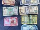 Some Nepalese Rupees from my purse. What animals can you see on the bills?