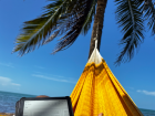 Parker reading in a hammock
