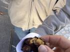 Roasted chestnuts thanks to the ábrego!