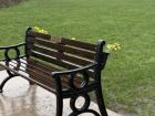 Starting in February, they start decorating benches and memorials with daffodils.