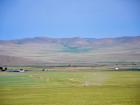 A farm near the city of Baganuur 