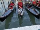 Gondolas are used to give people rides around the canals