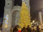 El hermoso árbol navideño en frente de la Concatedral de Santa María de la Redonda de Logroño/The beautiful Christmas tree in from of the Cathedral of Santa Maria of Redonda in Logroño