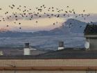 La montaña que puede ver desde la casa de Lola/The mountains you can see from Lola's house