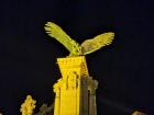 The Turul statue in the Capital. It makes me think of falconry