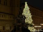 The Christmas tree in Piazza Maggiore.