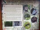 Trail sign from a Zvolen forest noting that there are 120 different species of birds in Zvolen alone