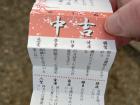 I drew an 'omikuji' fortune and got 'moderately good luck' for the new year!