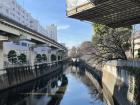 Did you know Tokyo used to be a swamp? There are many canals like this one throughout the city!