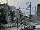Tokyo rarely gets snow in winter, so this came as a big surprise. The storm did not last too long.