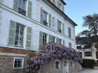 Blooming spring wisteria on the mayor's residence, called the "mairie", in Gif-sur-Yvette 