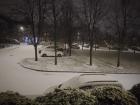 A picture outside Paulina's house of snow covering the street and cars