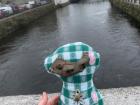 Mr. Wobo At The River Lee