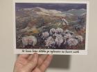 Sheep On The Mountains