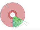 Example data, showing what eukaryote DNA is in a sample