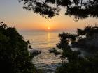 Sunrise through the pines at Mukho (easternmost edge of South Korea)
