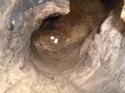 Photo depicting macaw eggs in a tree hollow