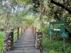 Lilongwe Wildlife Centre bridge — Crossing the quiet bridge inside Lilongwe National Park and Wildlife Trust.