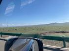 What the roadside outside of Ulaanbaatar looks like in the summer! There are so many sheep in this photo.