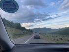 A picture taken while driving in the Mongolian countryside in August, you can see lots of animals!