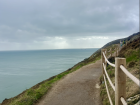 This is the cliff walk at the Cliffs of Howth