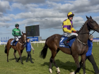 Horses from Fairyhouse Easter Races