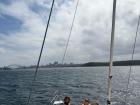 Boat day on the Sydney Harbour