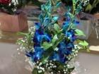 Beautiful flowers from a flower stand in the Northland Shopping Center