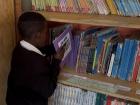 A library helper putting books on the library shelf 