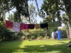 My laundry drying after being hand washed