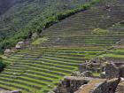Terraces at Machupicchu used for growing food, these terraces are all over Peru, and still used!