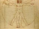 The Vitruvian Man