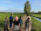 Afternoon walk with my aunts in their rice field