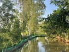 River next to my backyard rice field 