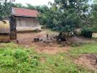 A neighbors backyard in my village 