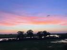 Sunset over river and rice field