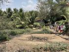 My backyard and laundry line