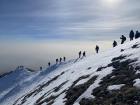 The large trek of hikers summiting Ljuboten peak during a hike with over 250 people from around the country