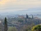 My mom took this picture early morning in the winter of the beautiful countryside in Siena