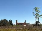 My favorite spot in all of Siena overlooking the city from the big fort 