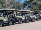 Safari vehicles sit ready to take visitors on their next adventure