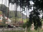 This is the view of the mountain near the Pagoda