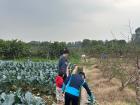 This is from visiting Mr. Sang's family farm