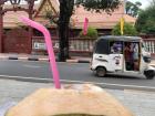 Sipping a coconut, watching the tuktuks and motos zoom by
