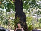 Have you ever seen such a happy tree?