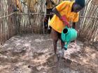 Watering the school garden 