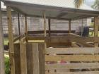 Our gungut, or Garifuna pig